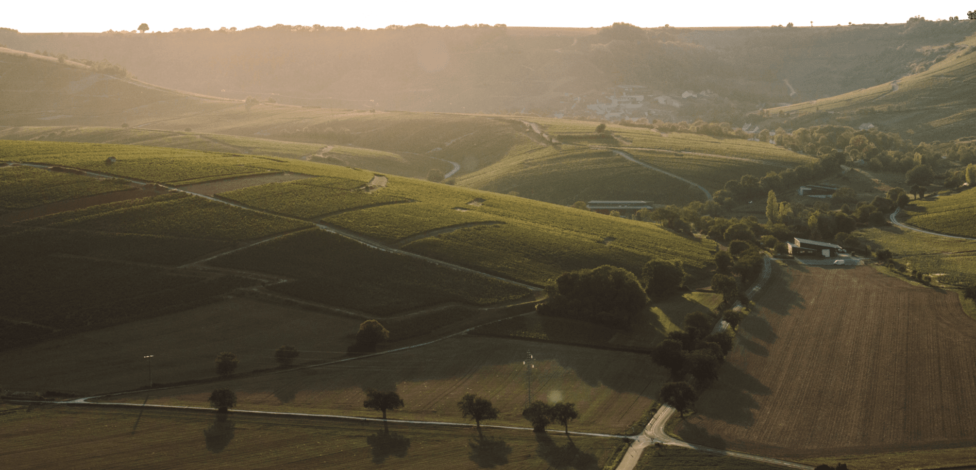 La Grande Haie | Sancerre Blanc Wine – Hubert Brochard - Hubert Brochard