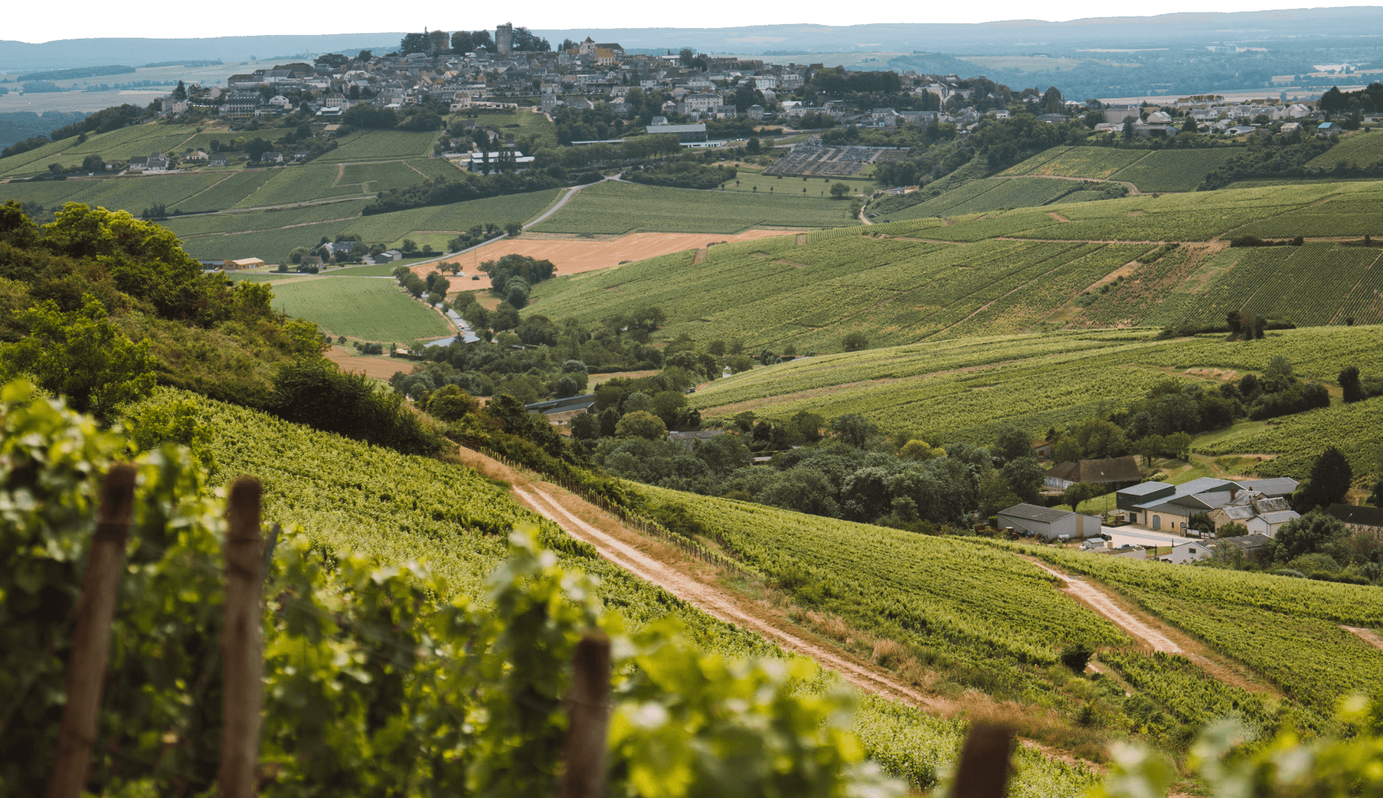 Notre domaine - Unsere Domaine - Hubert Brochard