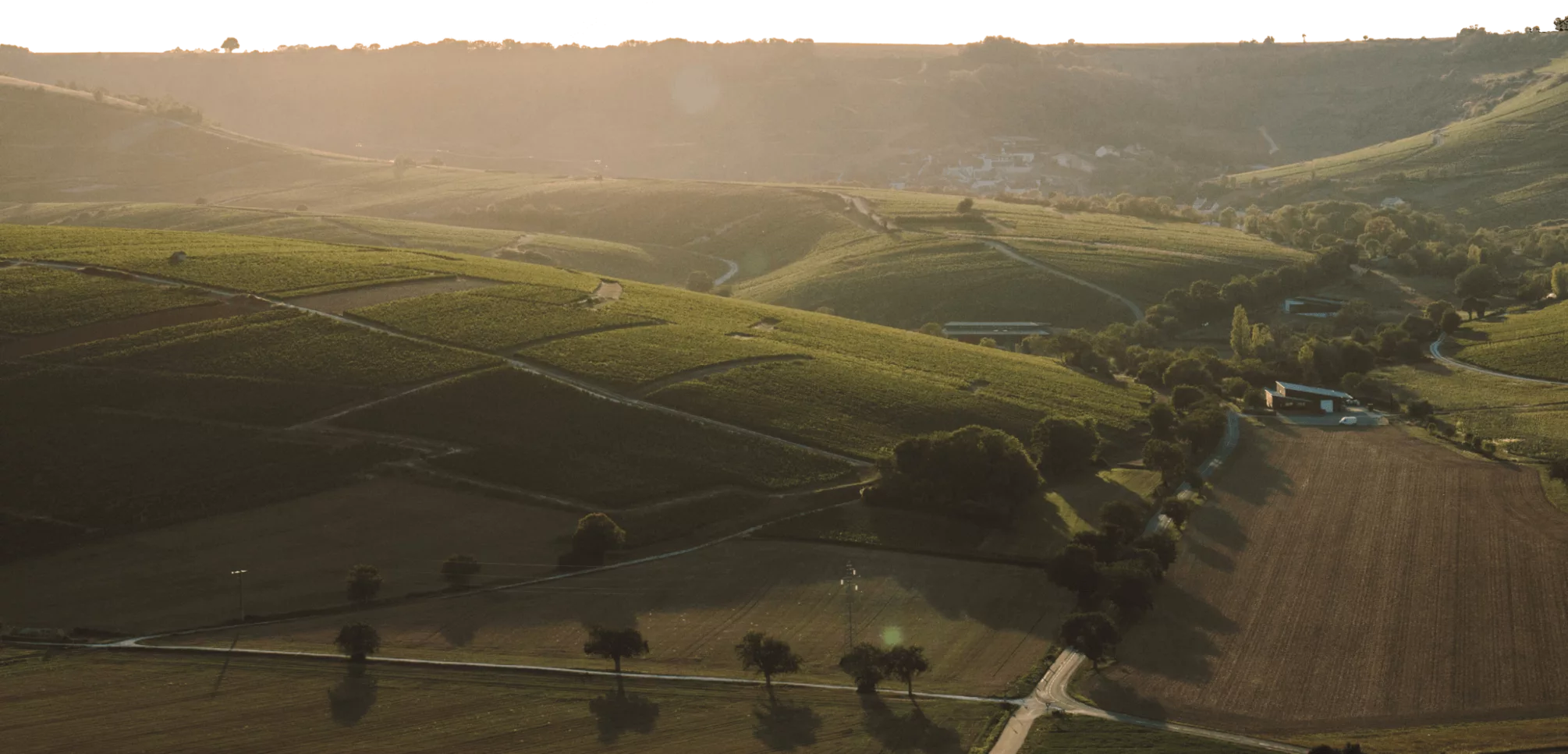 Our Vineyard - Hubert Brochard