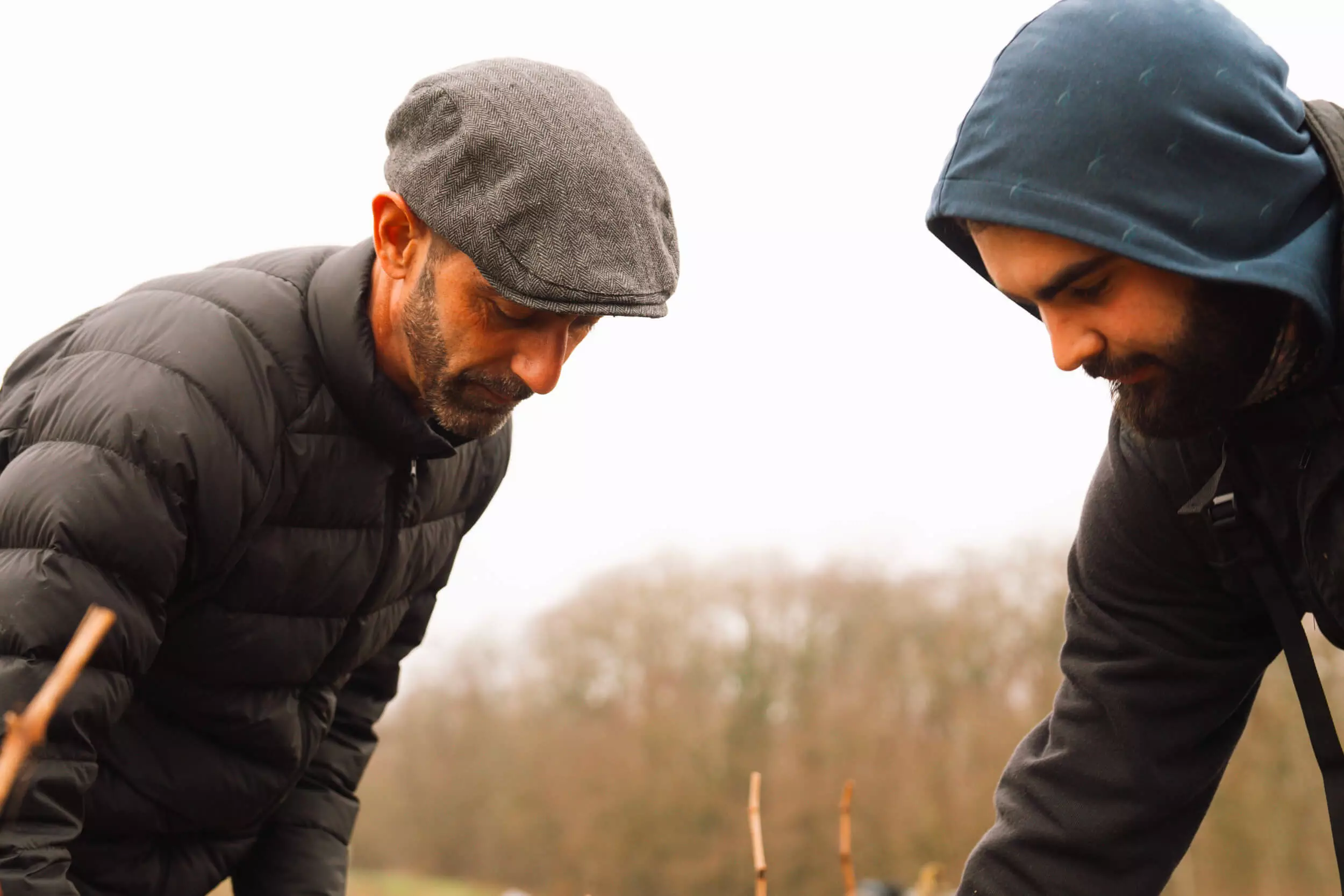 Revealing the Secrets of our Vines - Hubert Brochard